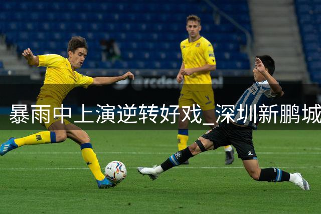 暴雨中上演逆转好戏 深圳新鹏城客场力克辽宁铁人